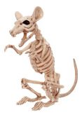 11" Skeleton Rat