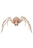 34" Skeleton Spider