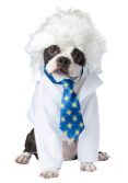 Al-bark Einstein Pet Costume