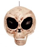 Allien Hanging Skull-New