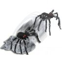 Animated Jumping Spider Prop