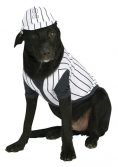 Baseball Player Pet Costume