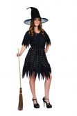 Gothic Witch Adult Standard Costume