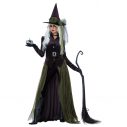 Gothic Witch Adult Womens Costume