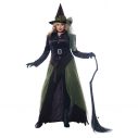 Gothic Witch Adult Womens Plus Size Costume