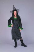 Gothic Witch Child Costume
