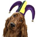 Jolly Jester Hat Pet Costume