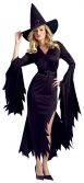 Sexy Wome's Gothic Witch Adult Costume