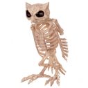 Skeleton Owl