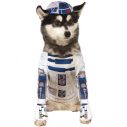Star Wars R2D2 Pet Costume