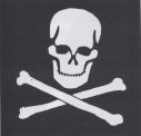 Stencil Skull/Crossbones,Steel