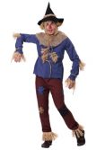 Adult Plus Size Patchwork Scarecrow Costume