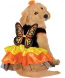 Beautiful Butterfly Dog Costume