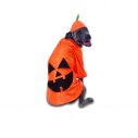 Big Dog Pumpkin Pet Costume