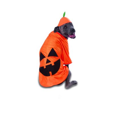 Big Dog Pumpkin Pet Costume