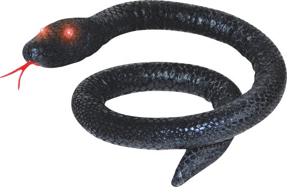 Black Snake W Light Eyes