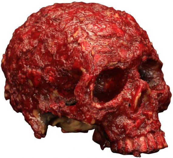 Blood Scab Resin Skull Prop