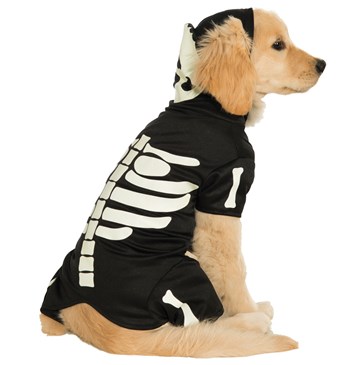 Bones Glows Pet Costume