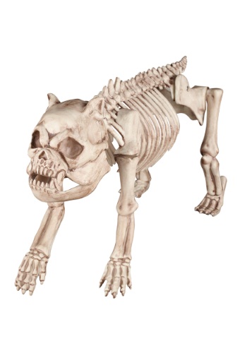 Bones the Hungry Hound: Skeleton Dog