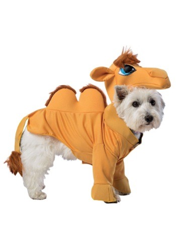 Camel Dog Costume
