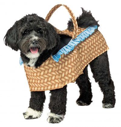 Dog Basket Costume