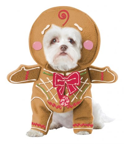 Gingerbread Pup Dog costume