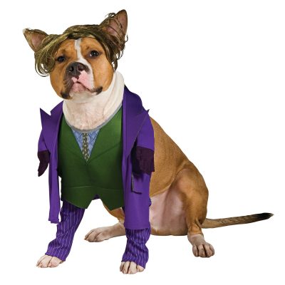 Joker Pet Costume