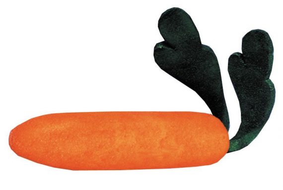 Jumbo Carrot