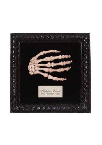 Lab Specimen Skeleton Hand