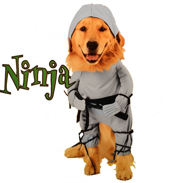 Ninja Dog Costume