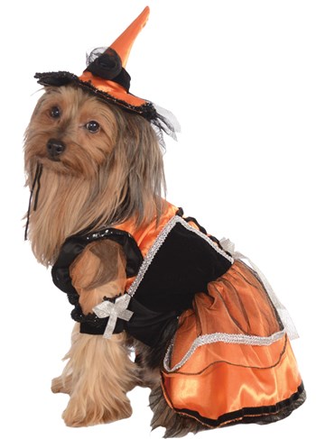 Orange Witch Pet Costume