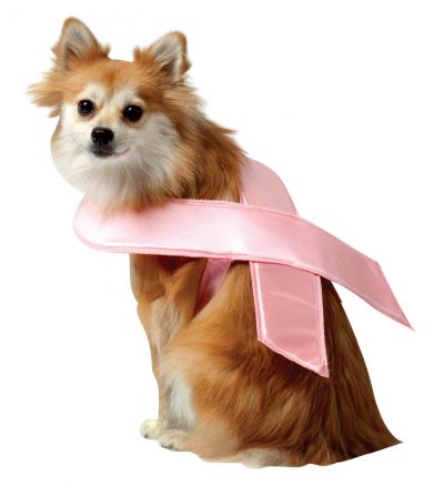 Pink Ribbon Pet Costume