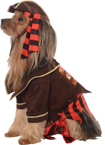 Pirate Boy Pet Costume