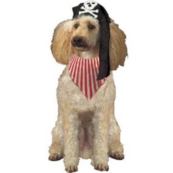 Pirate Pooch Pet Costume