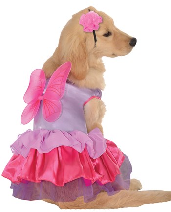 Pixie Pup Pet Costume