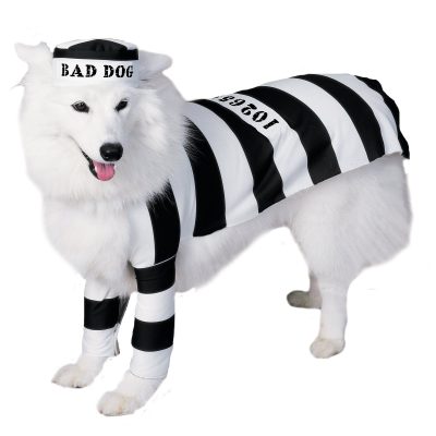 Prisoner Dog Pet Costume