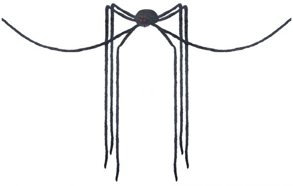Spider Black Long Legs