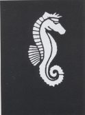 Stencil Seahorse,Stainless
